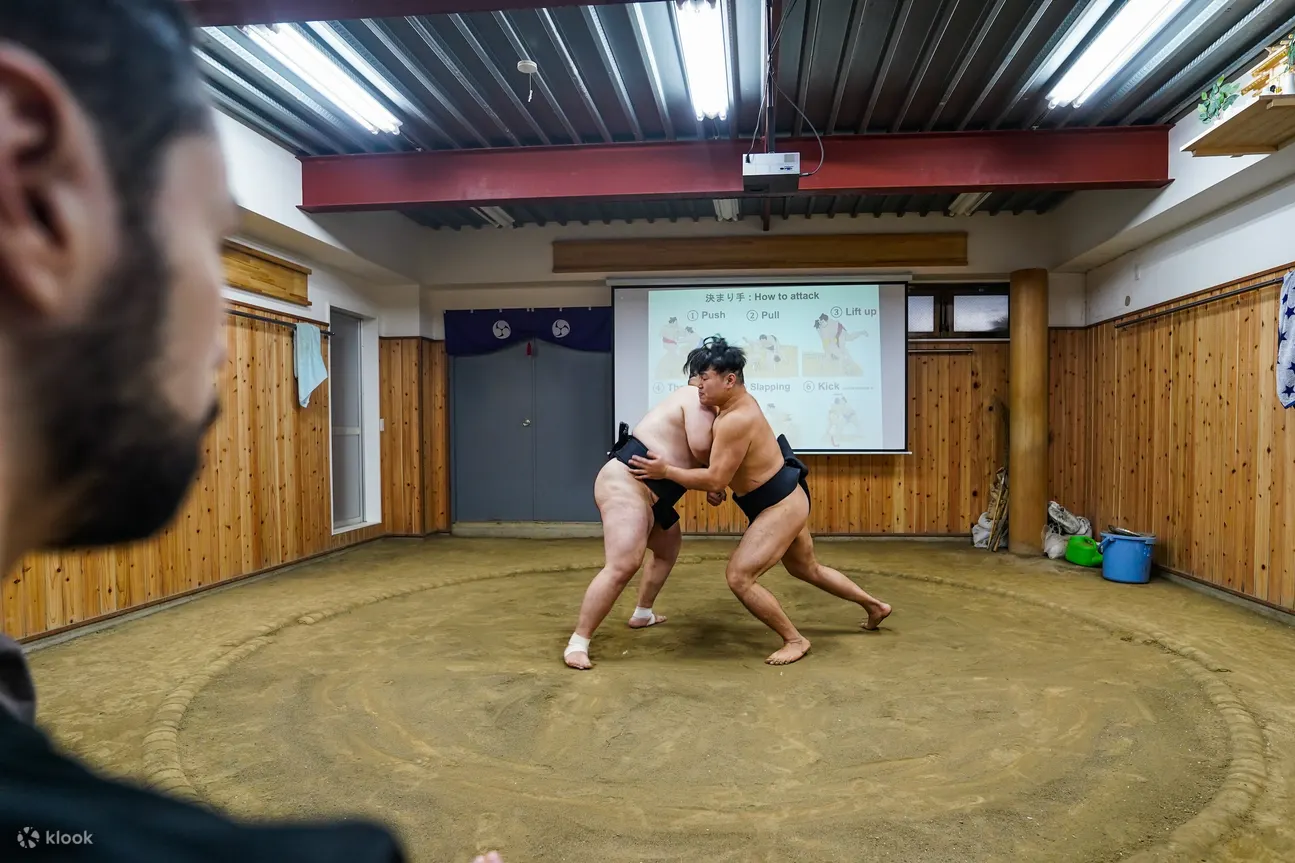 东京正宗相扑体验：进入庇护所
