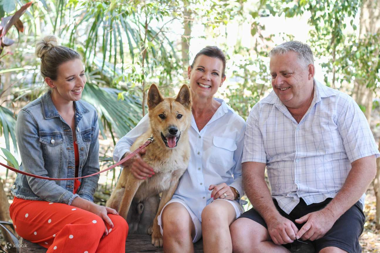 ローンパインコアラサンクチュアリ