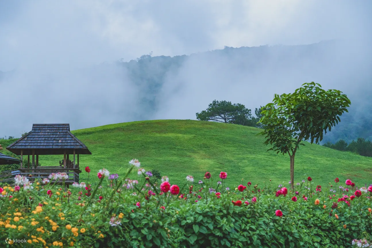 作为大叻最大的花园，The Florest 占地 60 公顷，以其生机勃勃的花谷、草山、青翠的草地和广阔的原始 Ta Nung 山林中清新的空气而闻名，散发着