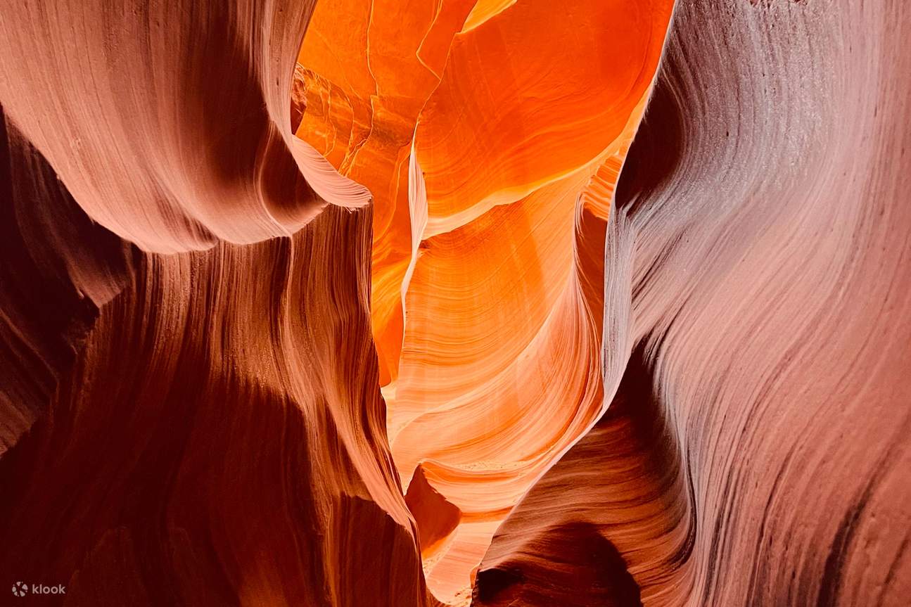 探索哈斯德兹瓦兹的深处，发现栩栩如生的阴影和形状