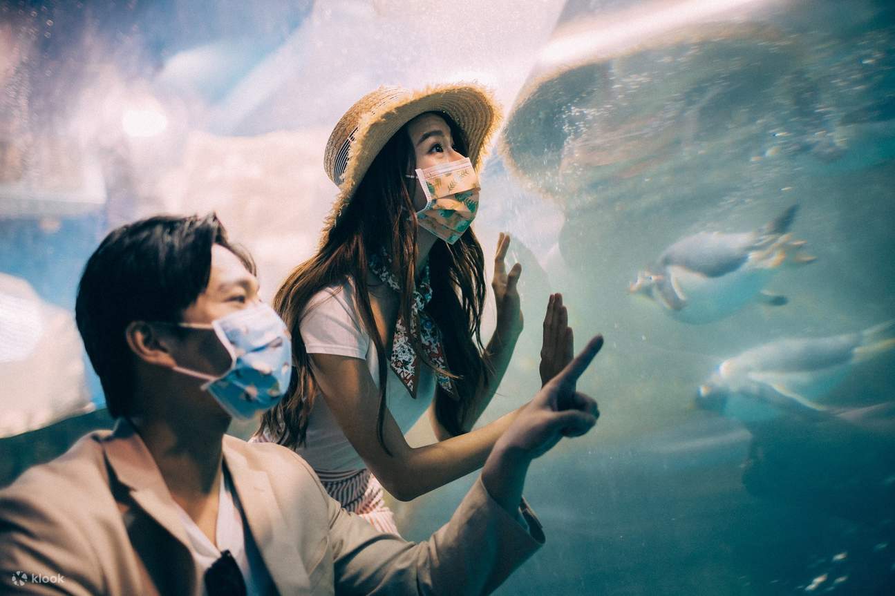 近距離欣賞珊瑚礁幼魚的美麗樣貌，邀您共同來感受海洋萬物的生命力