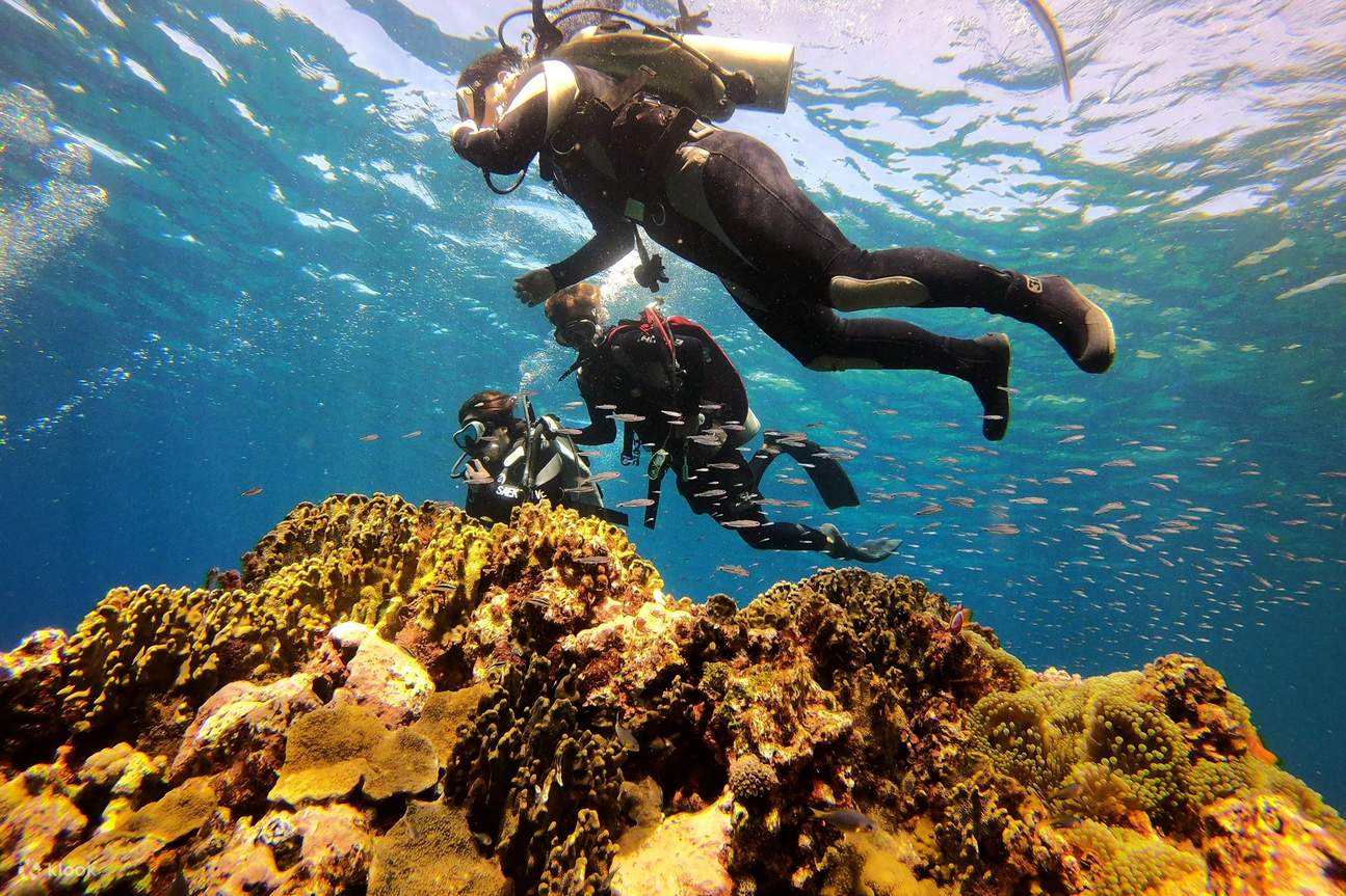 Studenti fotografati con i coralli