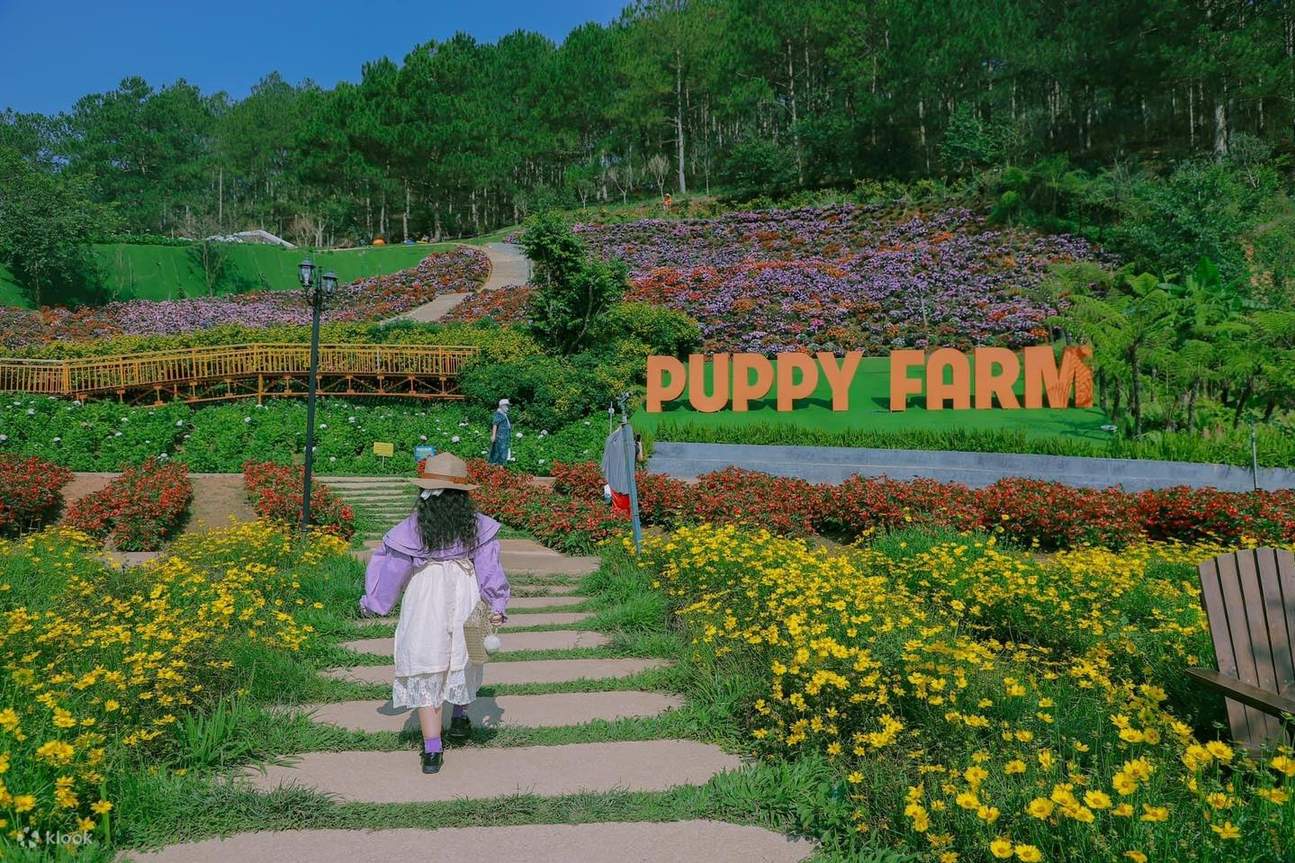 Vé Tham Quan Nông Trại Cún Puppy Farm Đà Lạt - Klook Việt Nam
