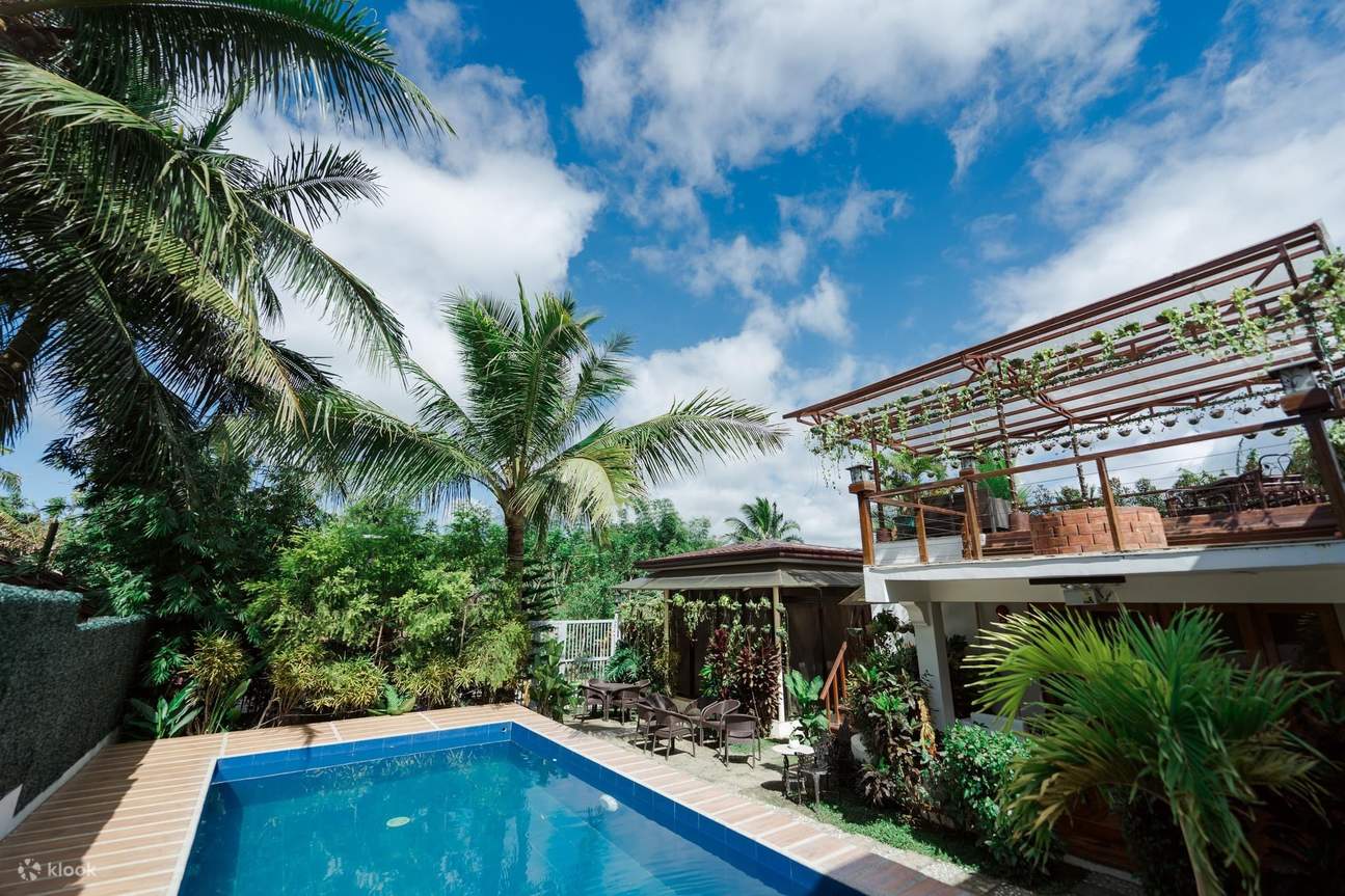 棕榈树环绕的后院泳池，营造出宁静的绿洲