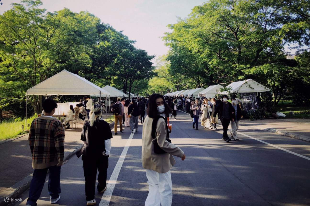 A Hokkaido Egyetem 150. évfordulós campus sétája: A modern Japán gyökereinek nyomában
