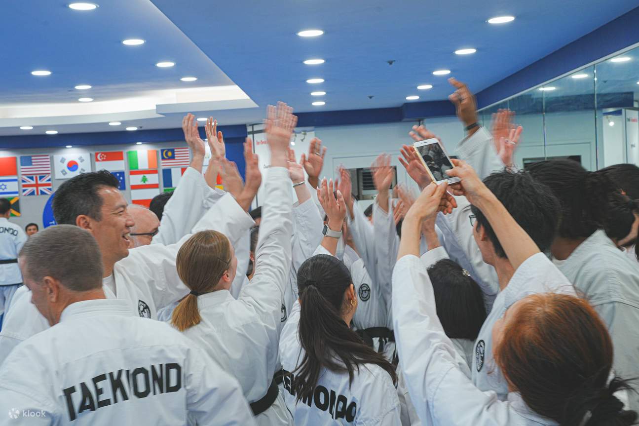 Authentic Taekwondo Class in Ilsan Gyeonggi near Seoul - Klook