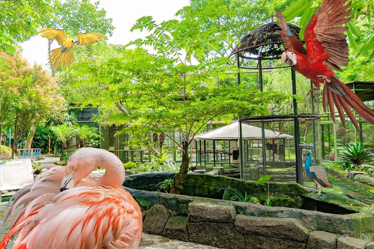 The Jungle Waterpark Adventure Ticket in Bogor