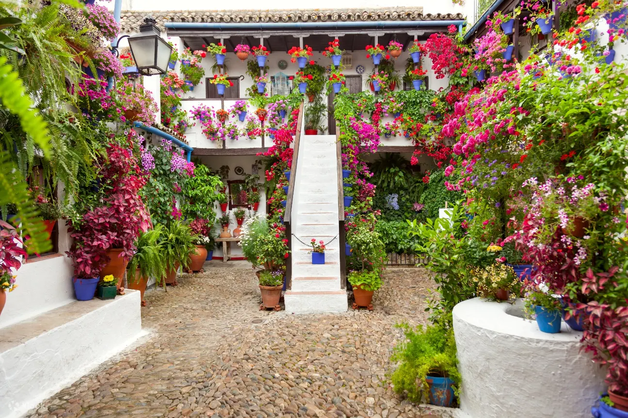 colorful patios of Córdoba