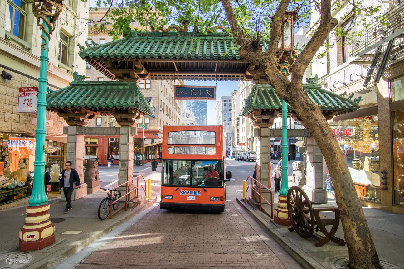 在敞篷巴士上拍摄令人惊叹的照片，欣赏城市风景的全景