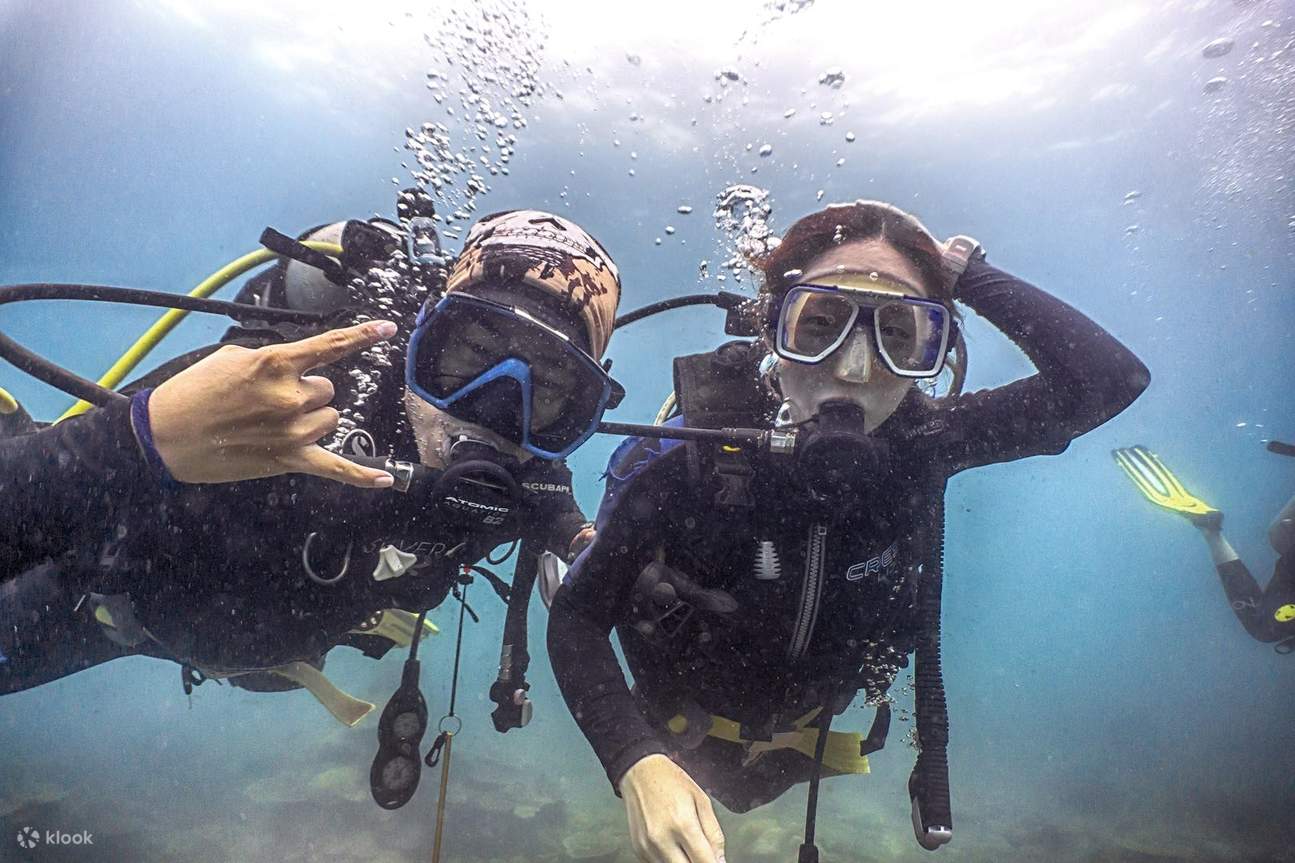 Discover Open Water Diver Courses in Kota Kinabalu with a PADI Dive