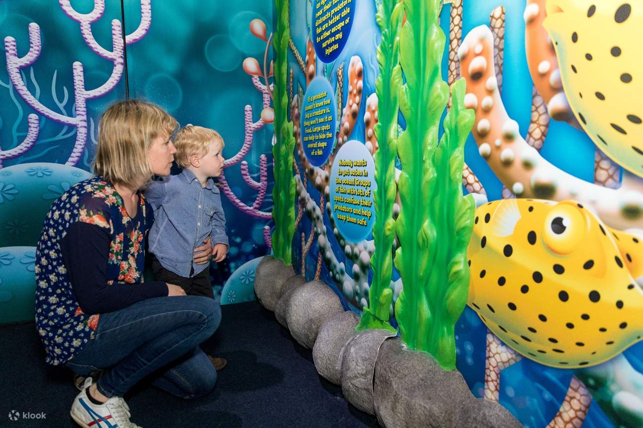 niños en el acuario