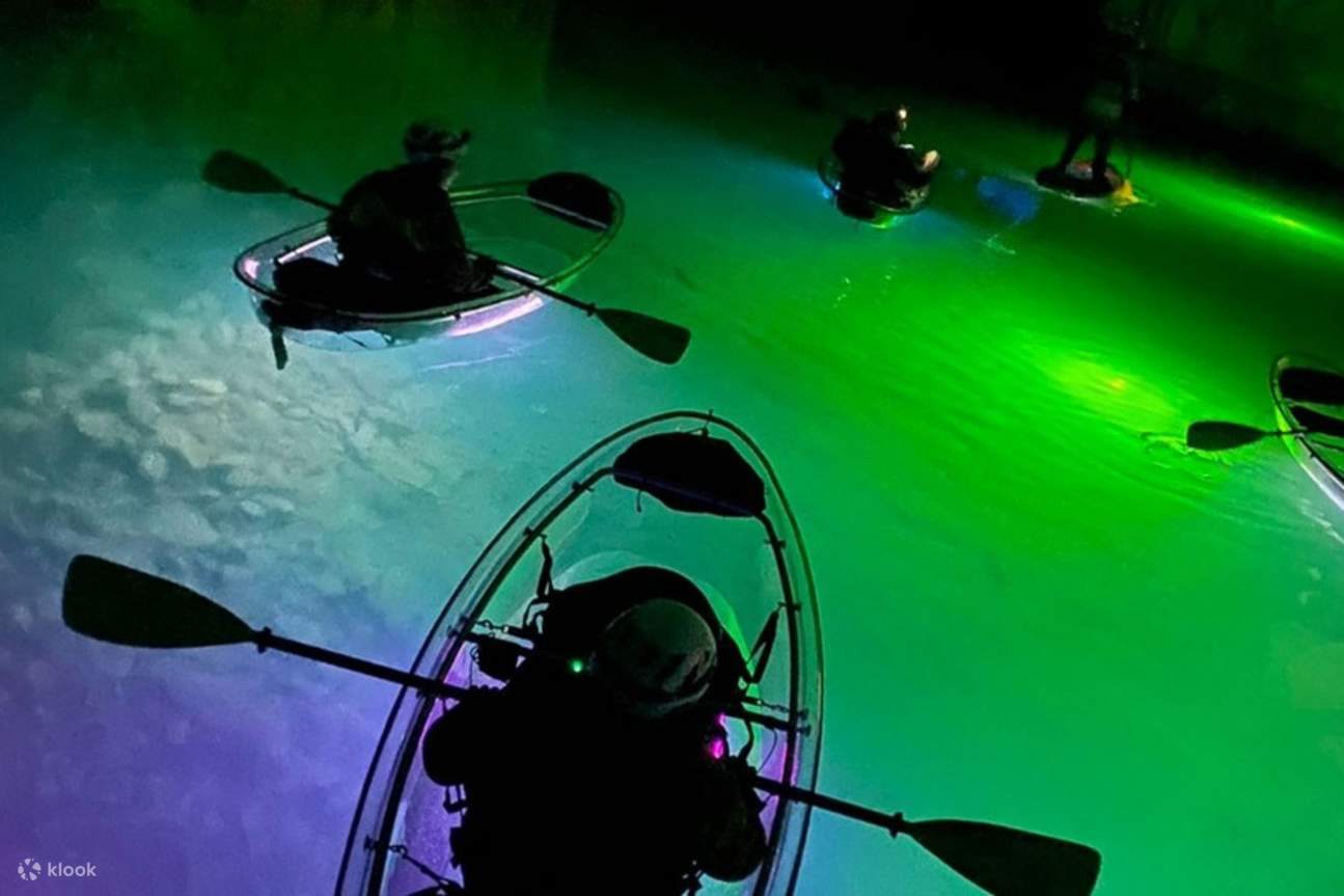 Kayak transparan menawarkan pemandangan unik dari dunia bawah laut yang memukau di bawahnya