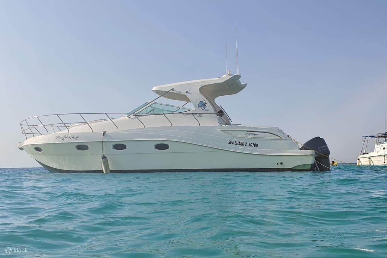 Tour du thuyền Baby ở Biển Đỏ