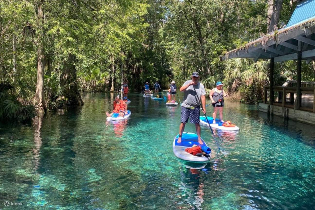 古代の木々がそびえ立ち、自然の美しさと回復力を物語ります。