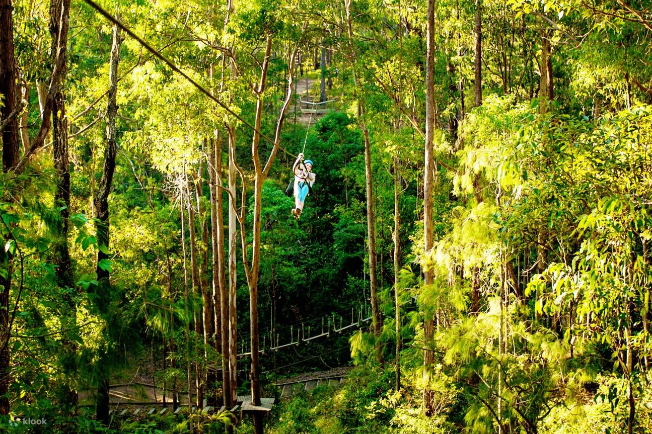 TreeTop Challenge am Mount Tamborine von Gold Coast Klook, Vereinigte