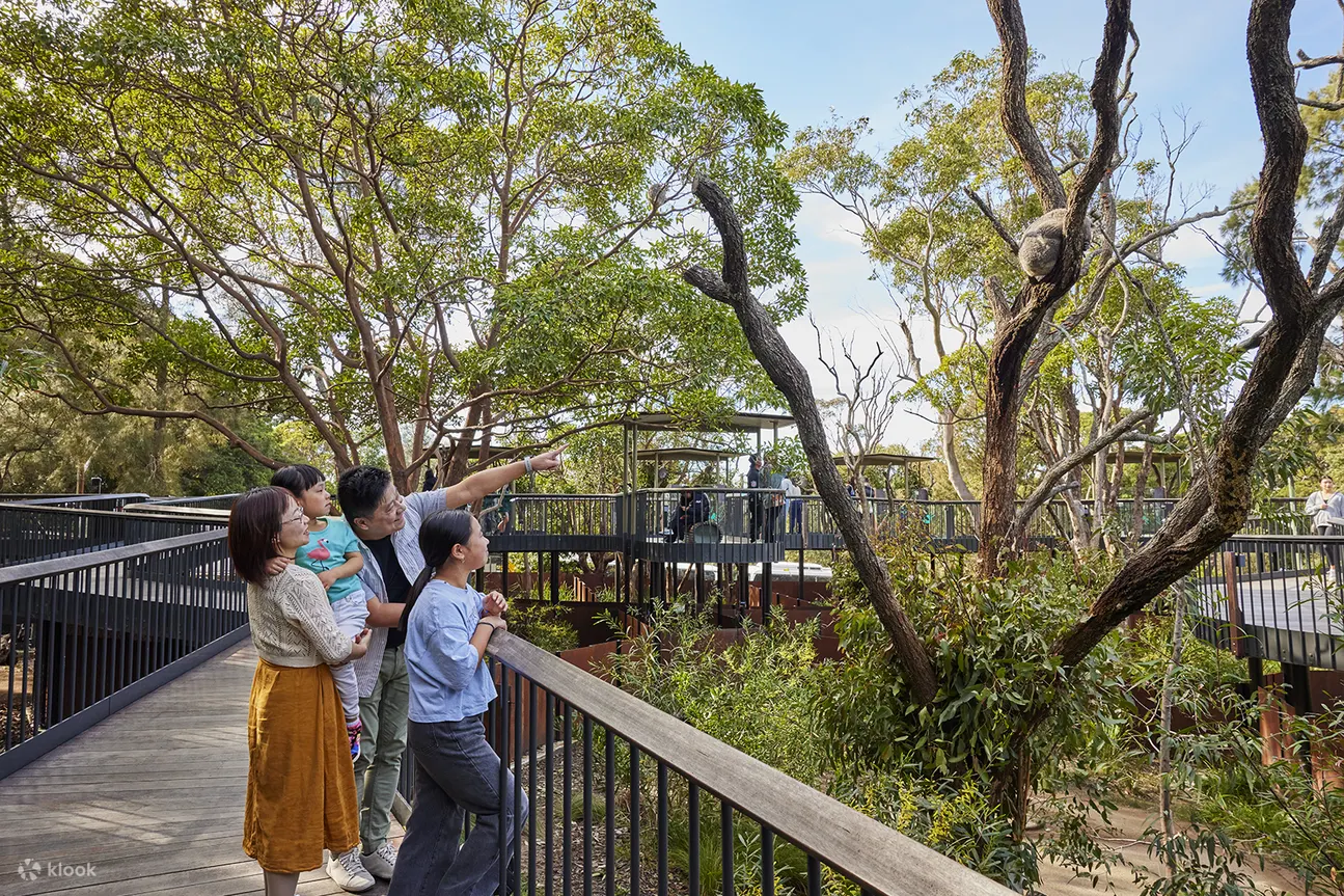 Taronga Zoo Sydney Ticket