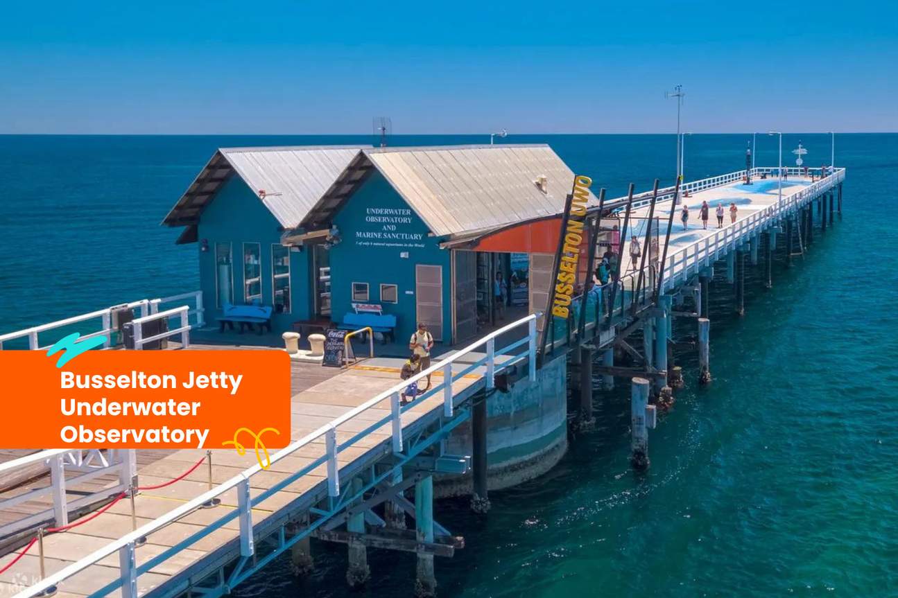 Erleben Sie das Unterwasser-Observatorium Busselton Jetty