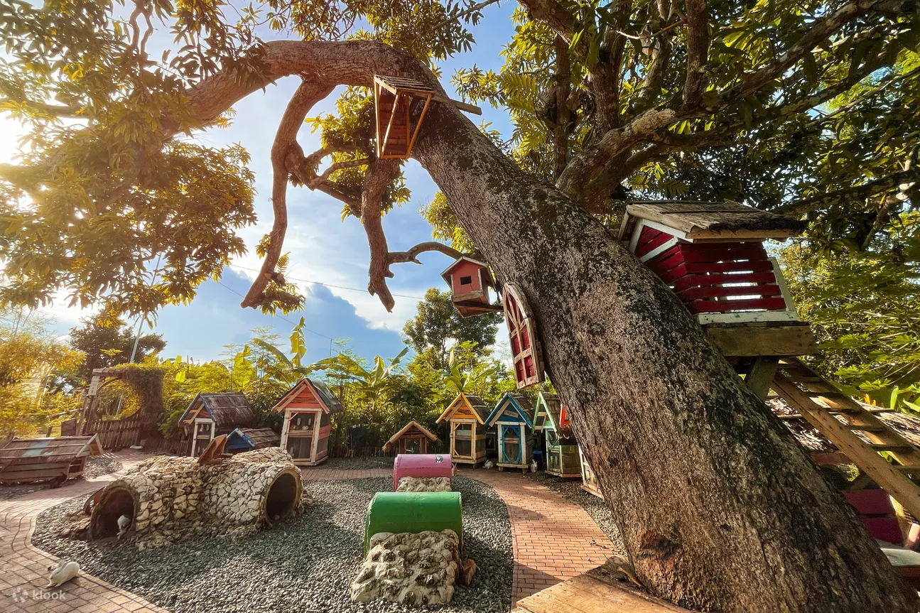 rabbit hobbit area in south palms resort