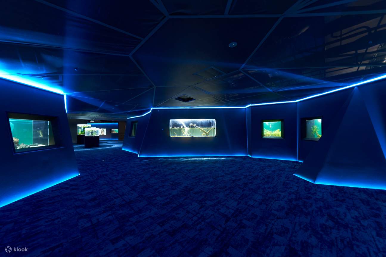 Aquarium Kawasui de Kawasaki