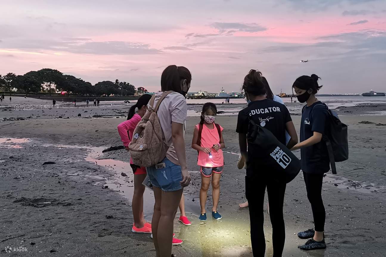 Đi bộ khám phá bờ biển Singapore