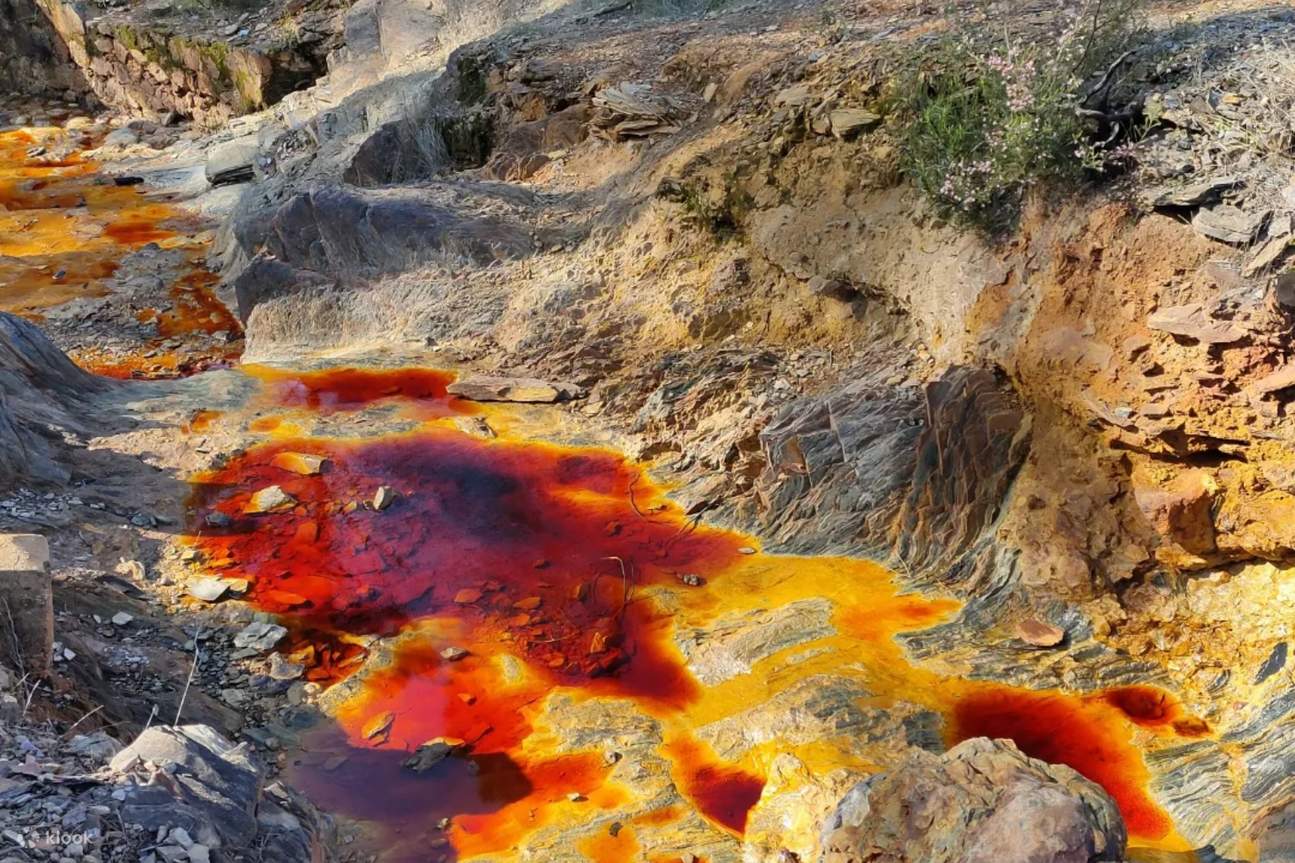 세비야 출발 아라세나 & 리오틴토 광산 가이드 투어 - 클룩 Klook 한국