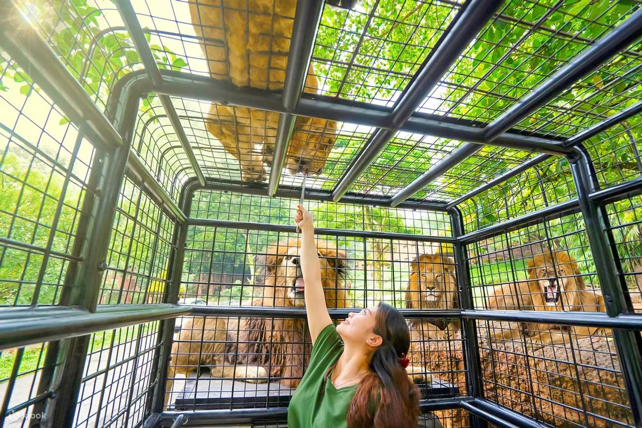 茂物野生動物園