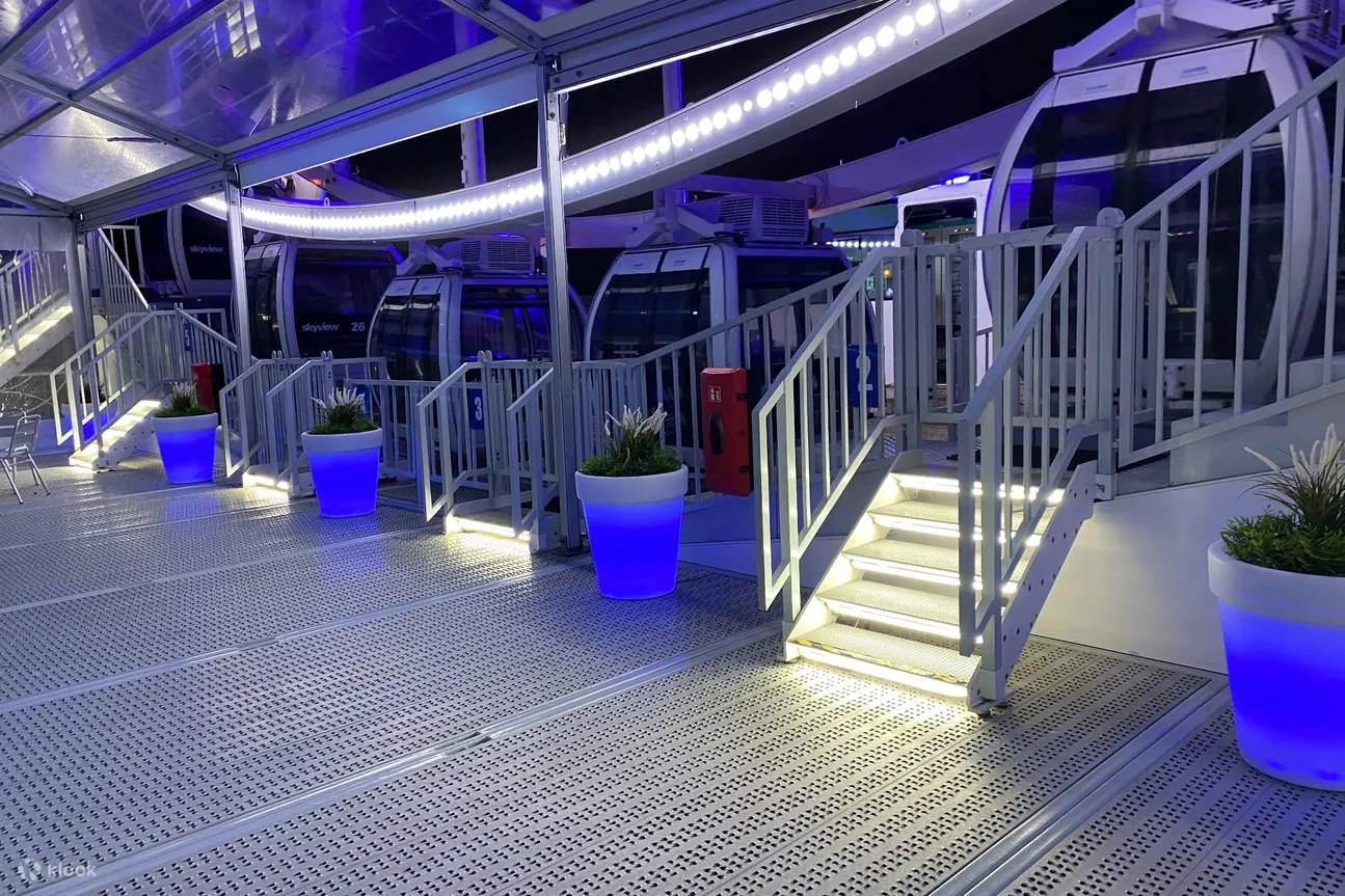 The Pier SkyView 入口