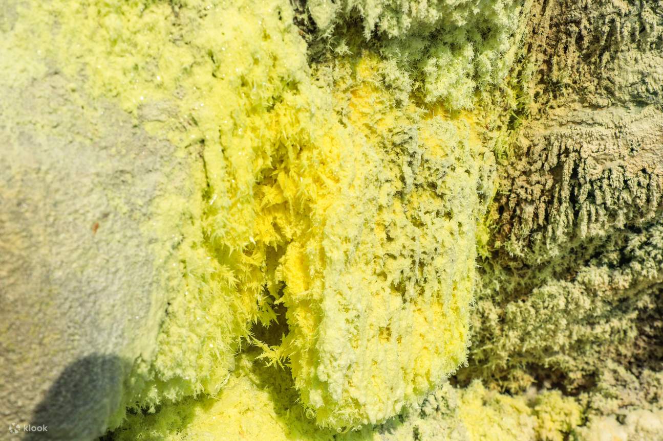 타이페이: 화산 유황 계곡 야외 암벽 등반 엿보기