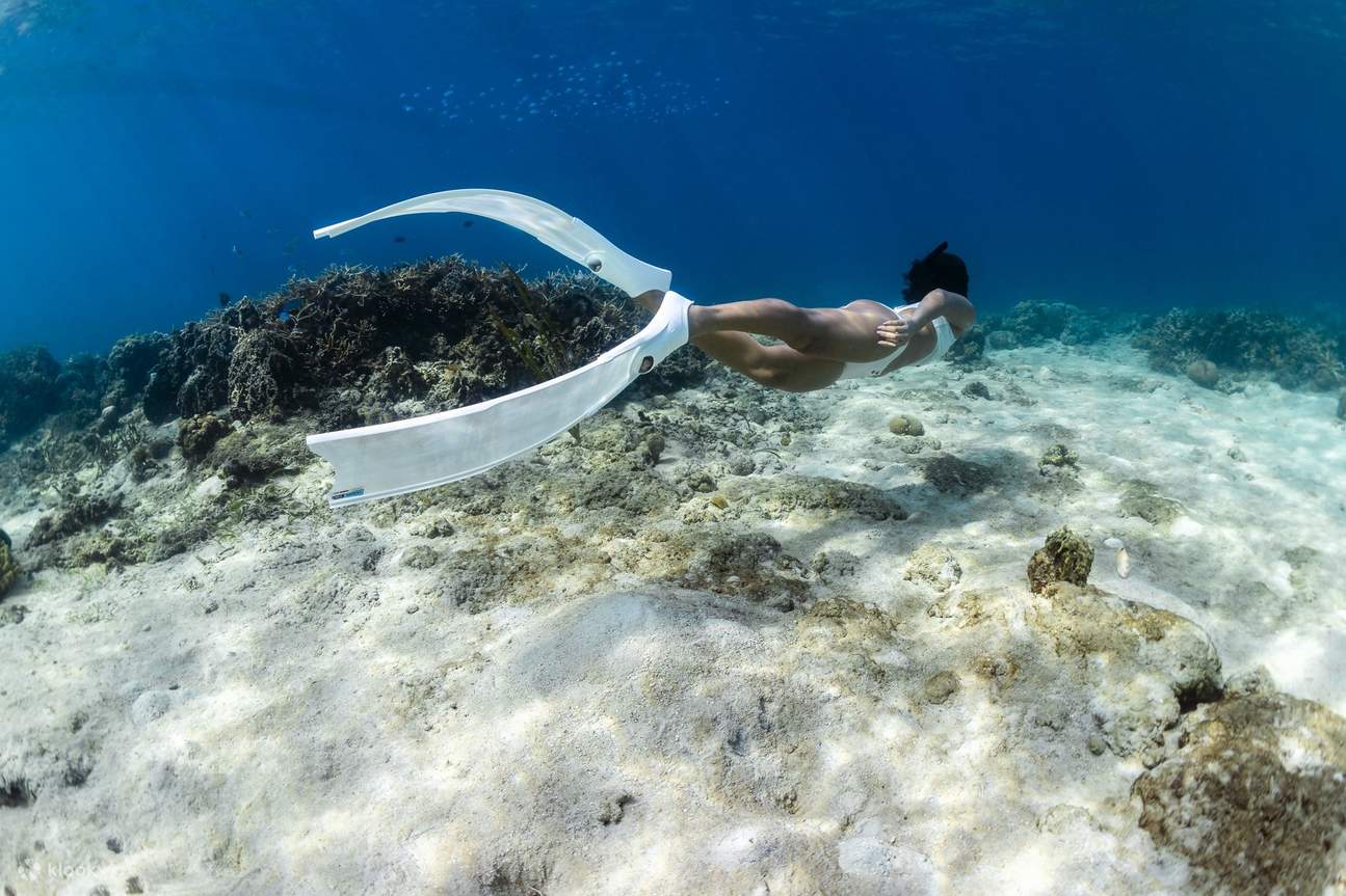 Donna che nuota sott'acqua con pinne bianche