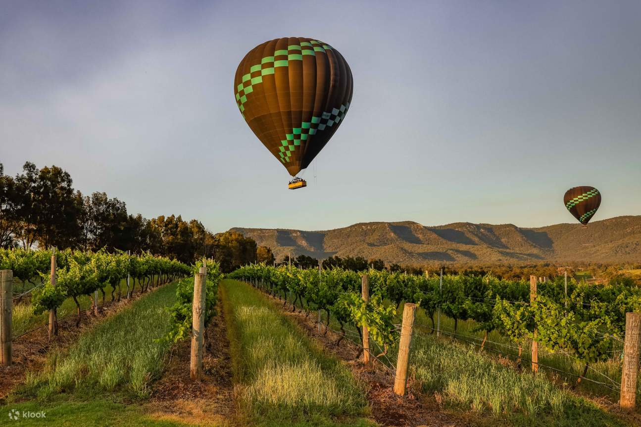 Vol en montgolfière avec vue imprenable sur les vignobles