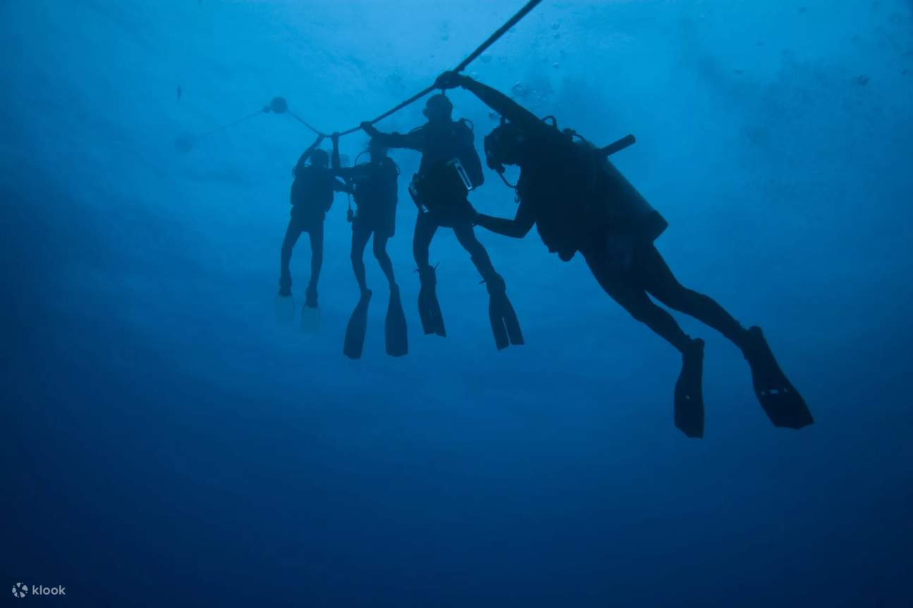 Tingkatkan keterampilan menyelam Anda dengan Kursus Lanjutan kami di Islamorada, di mana setiap penyelaman menghadirkan tantangan baru dan pengalaman bawah laut yang tak terlupakan.
