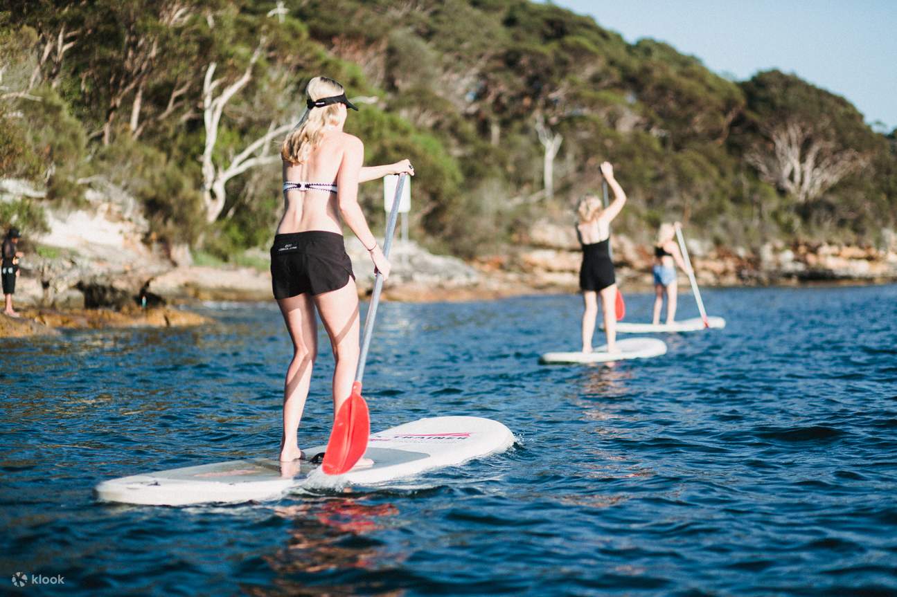 Manly Stand Up Paddle Board Lesson (SUP) by Manly Kayak Centre in