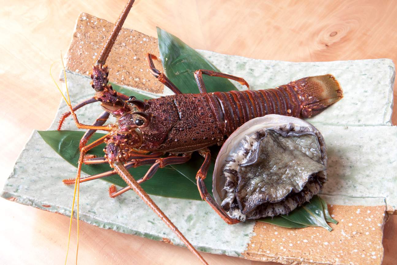 Ginza, Wagyu Teppanyaki Ginza Hotaru Tokyo