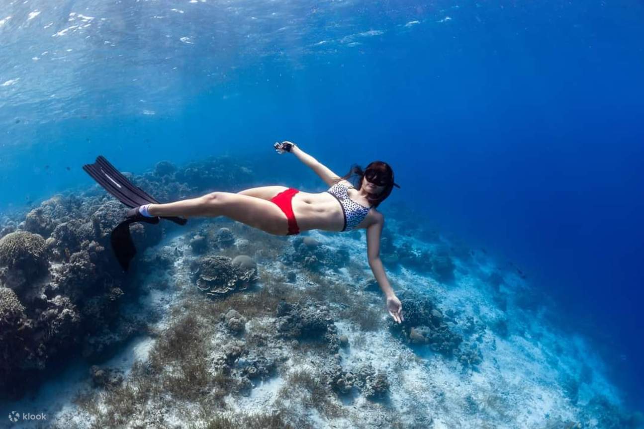 Woman swimming over various underwater corals