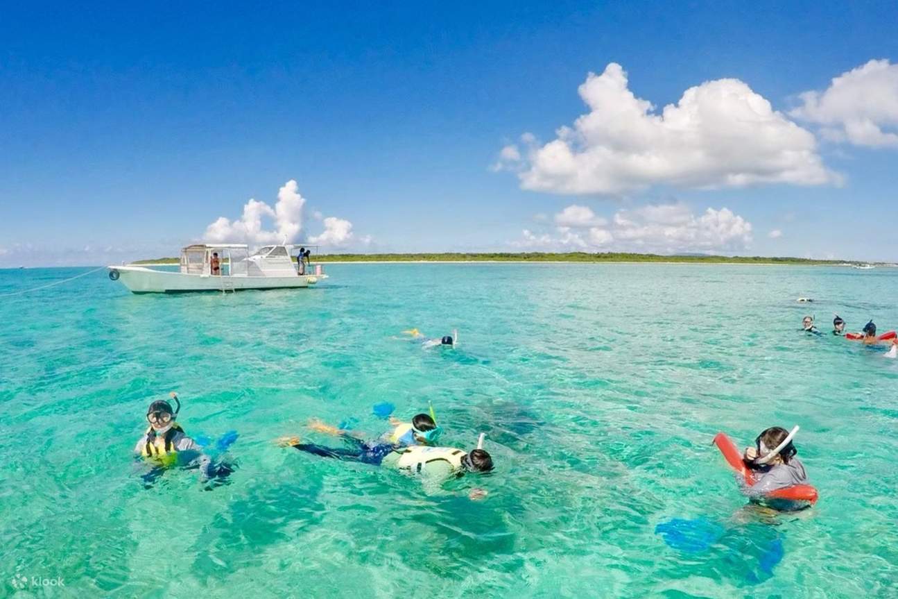 Pagsisid Isang kalahating araw na snorkeling kasama ang mga pawikan sa Ishigaki ...