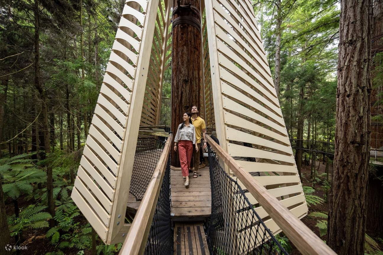 Expérience Redwoods à Rotorua