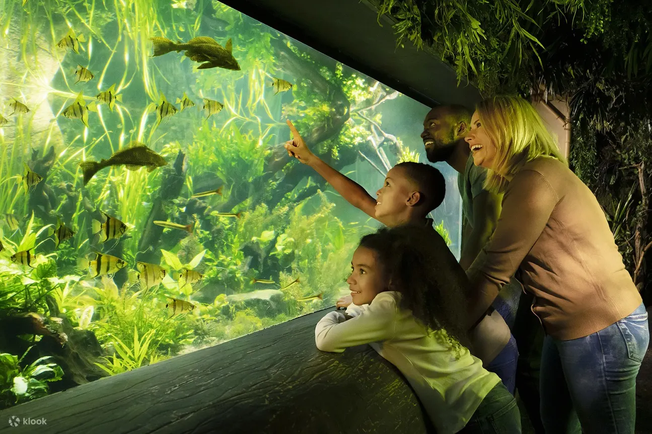 伦敦海洋生物水族馆 (SEA Life London)