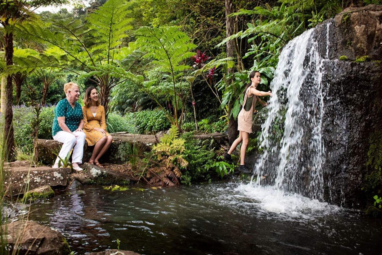 น้ำตกและสระน้ำที่ใดที่หนึ่งใน Maleny Botanical Gardens