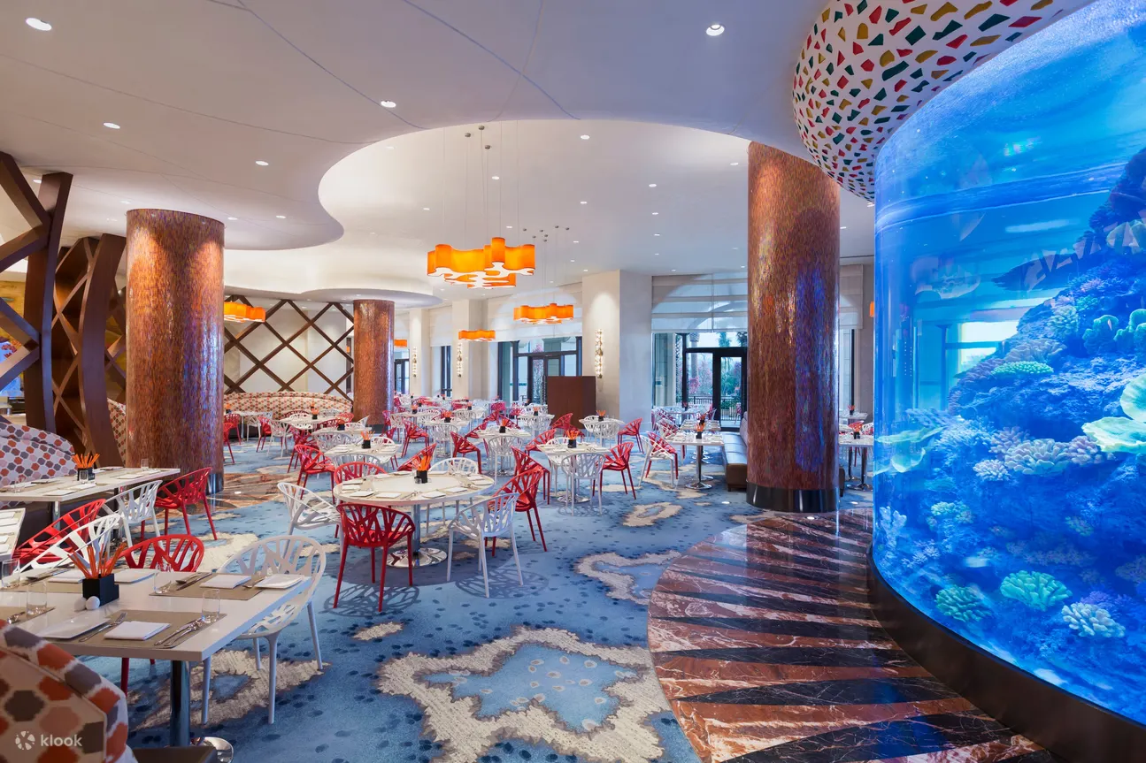 海豚自助餐厅