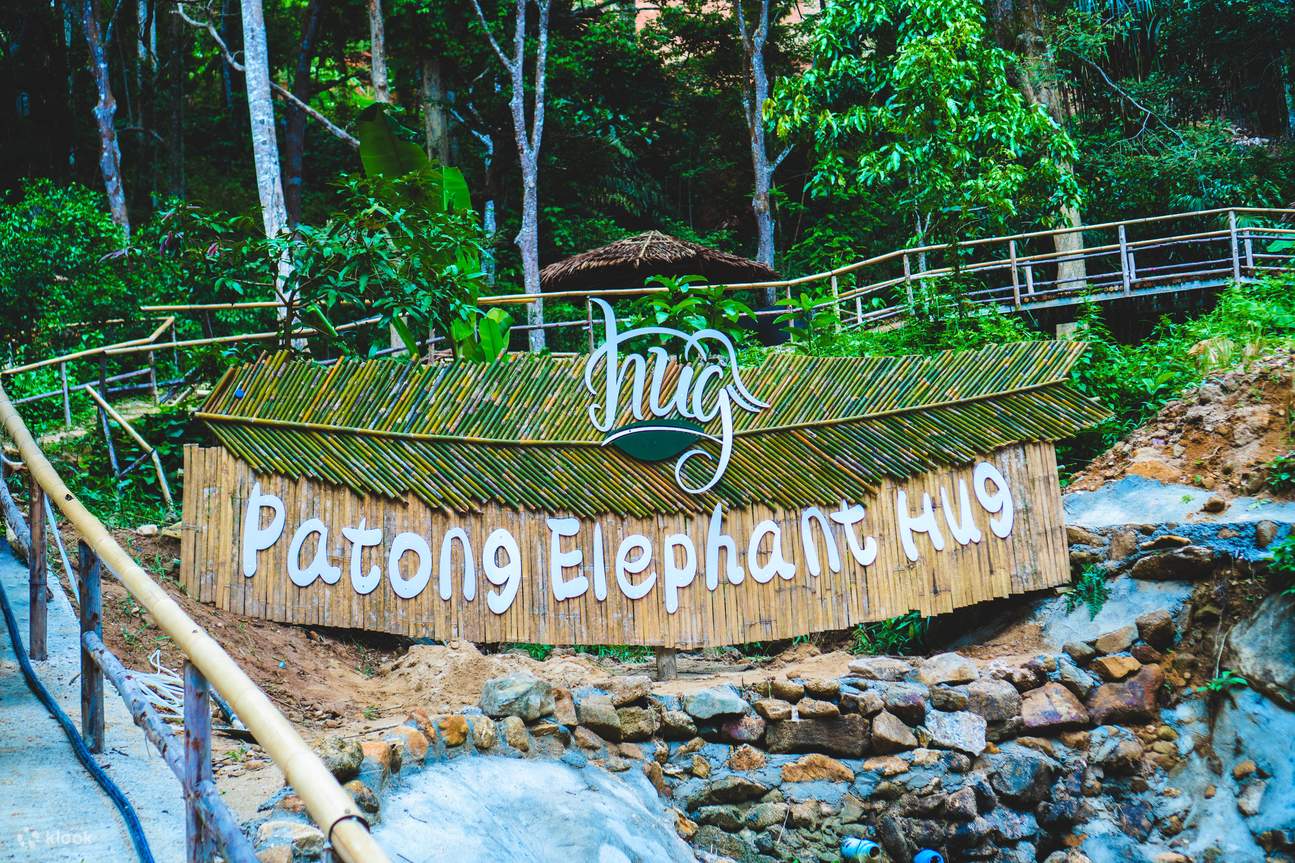 Patong Elephant Hug ở Phuket