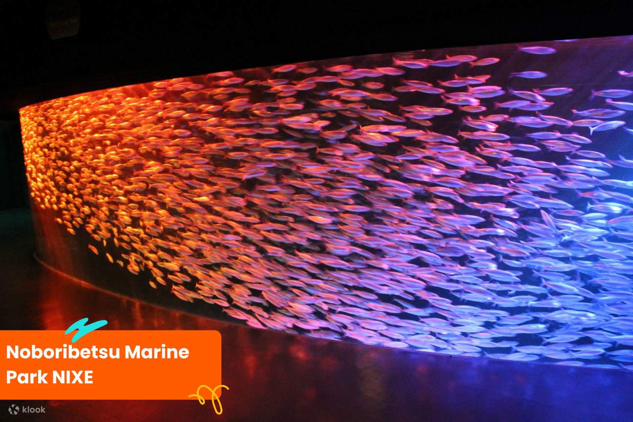 Noboribetsu Marine Park NIXE