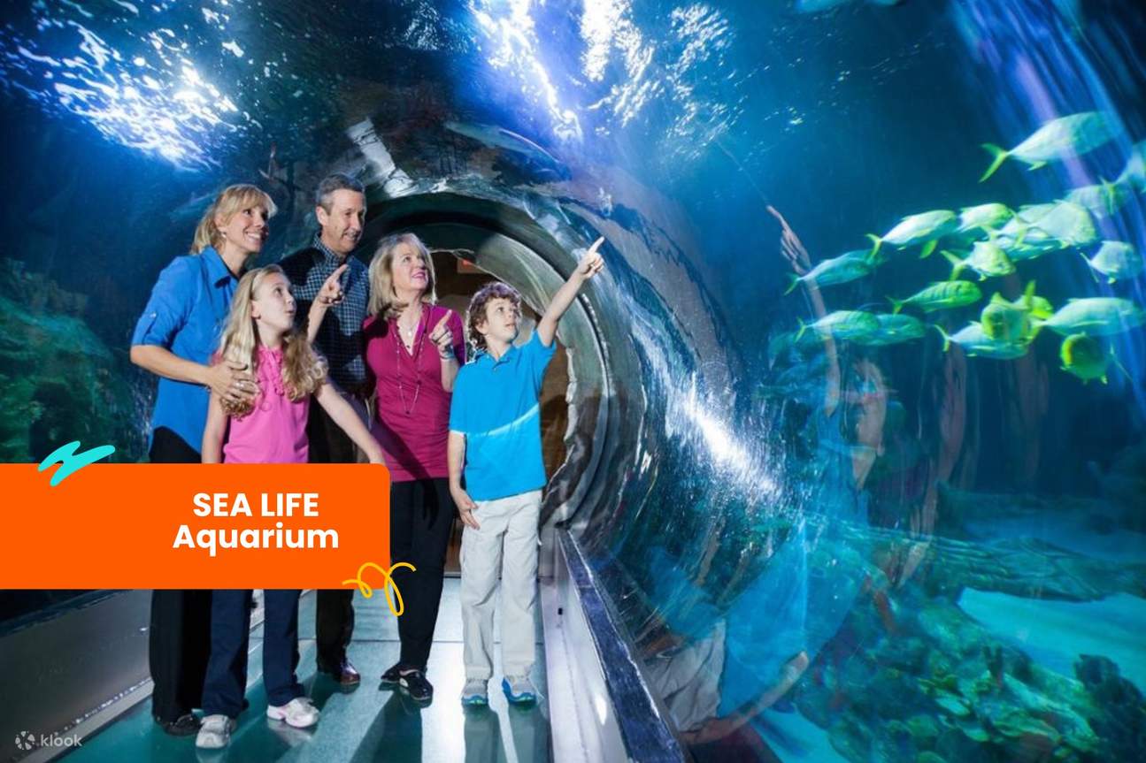 SEA LIFE Aquarium Orlando