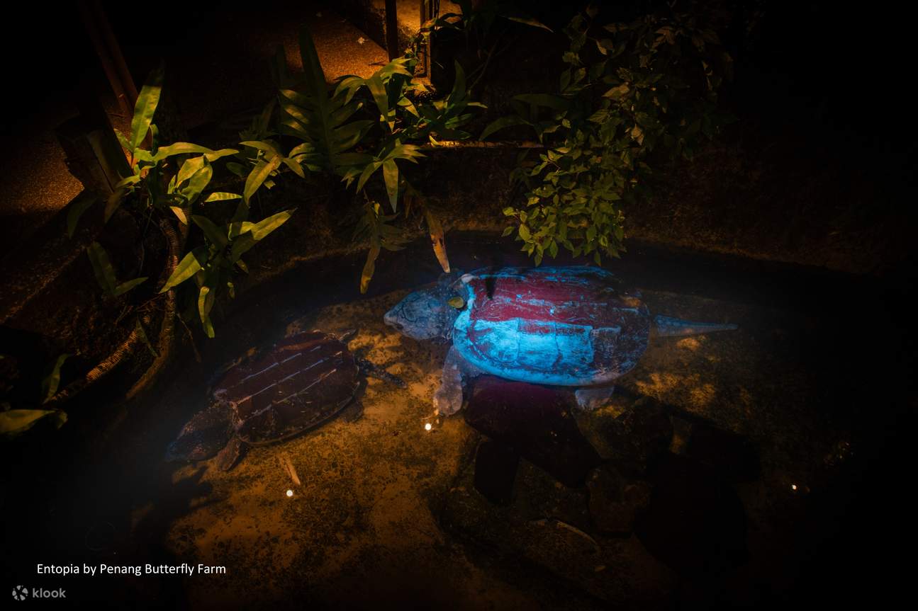 Billet pour Entopia by Penang Butterfly Farm