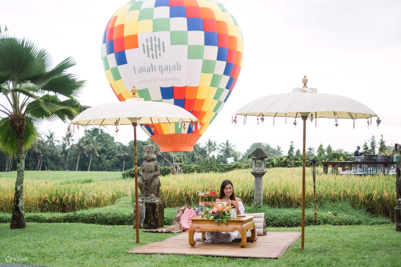 水田を望む熱気球搭乗＆お食事