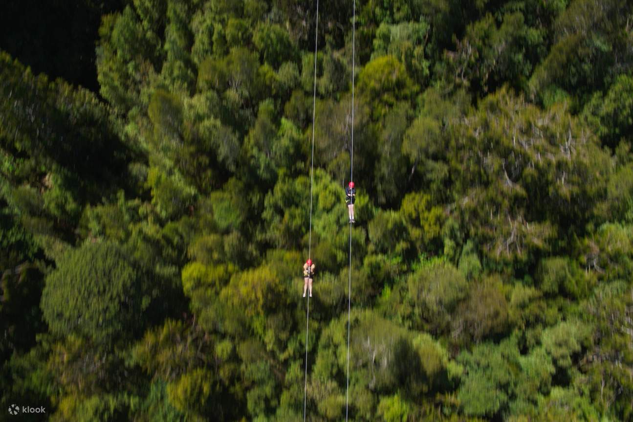West Coast Treetop Tower Zipline & Walkway in Hokitika Klook Australia