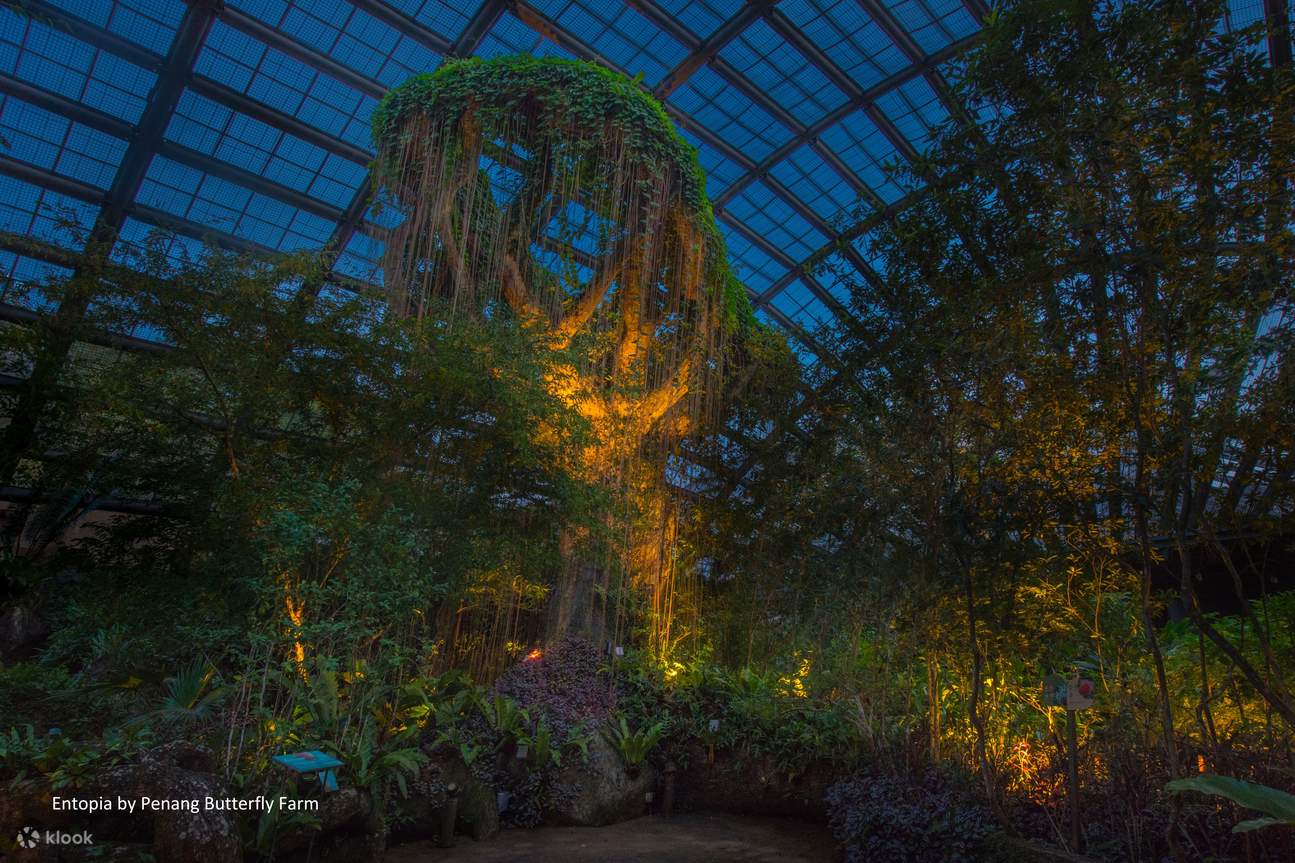 Tiket Entopia by Penang Butterfly Farm