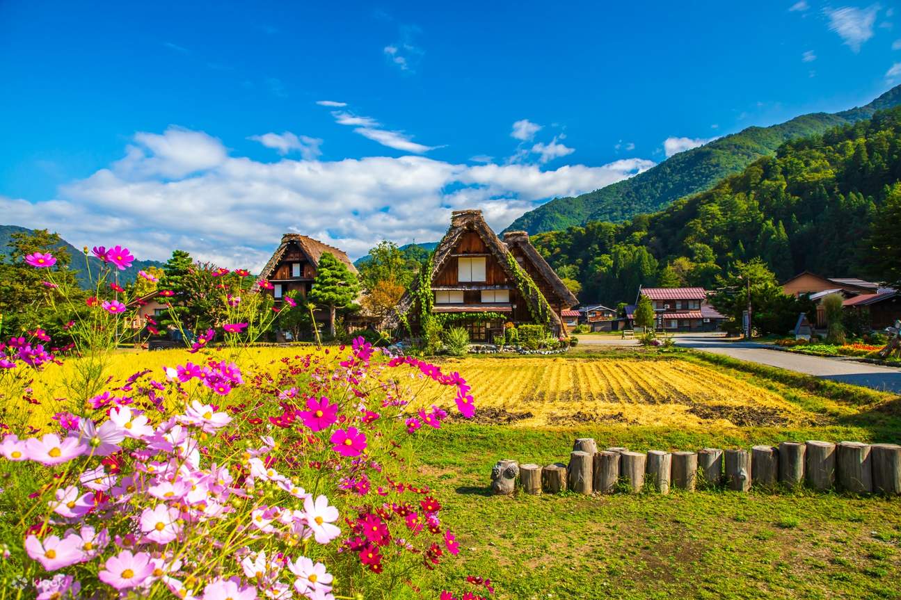 7-day-bus-pass-between-tokyo-to-osaka-kyoto-klook-philippines
