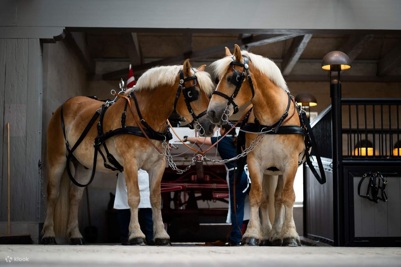 细细品味哥本哈根原嘉士伯啤酒厂独特的建筑风格，以及其保存完好的建筑物