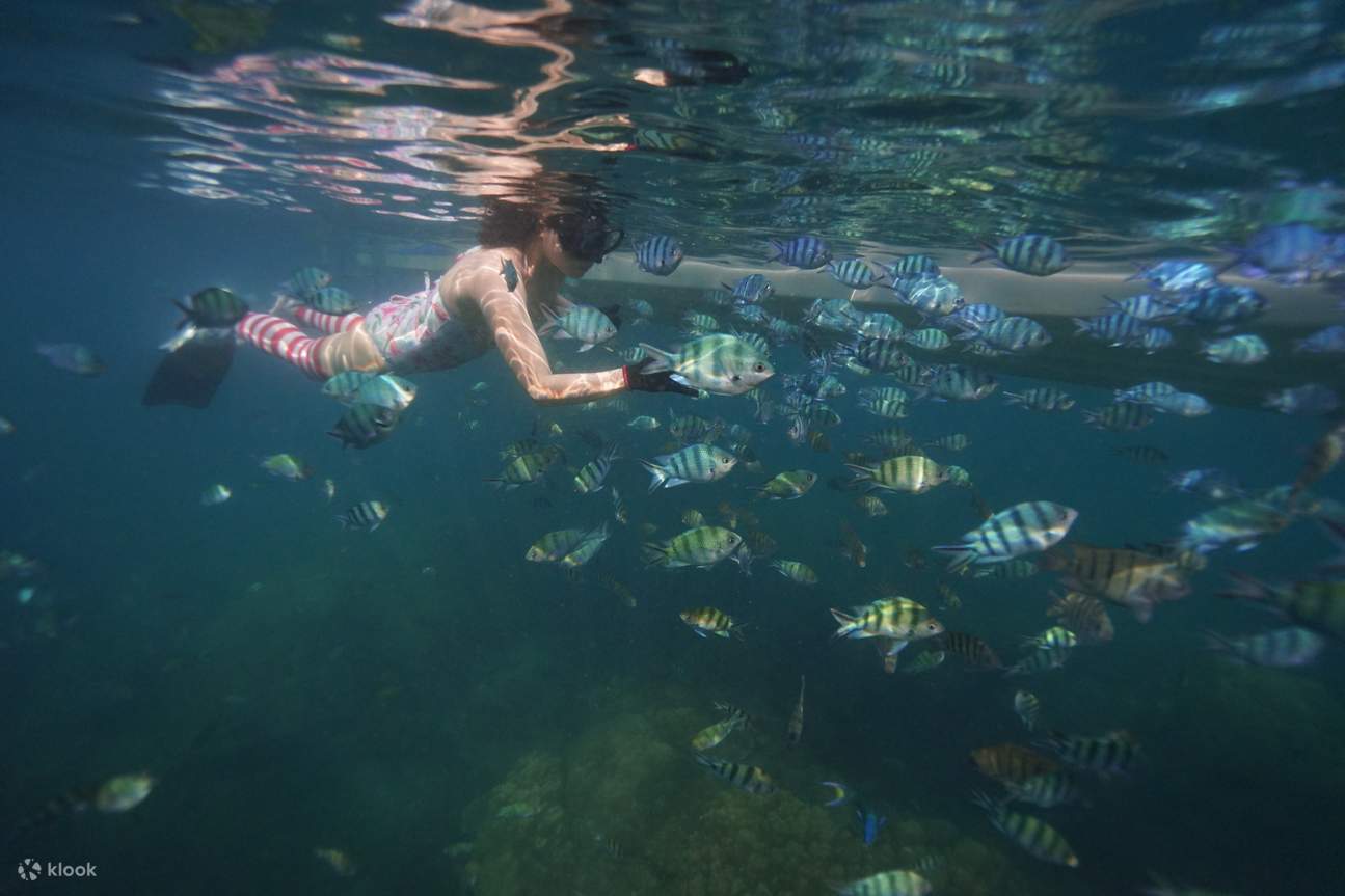 浮潜