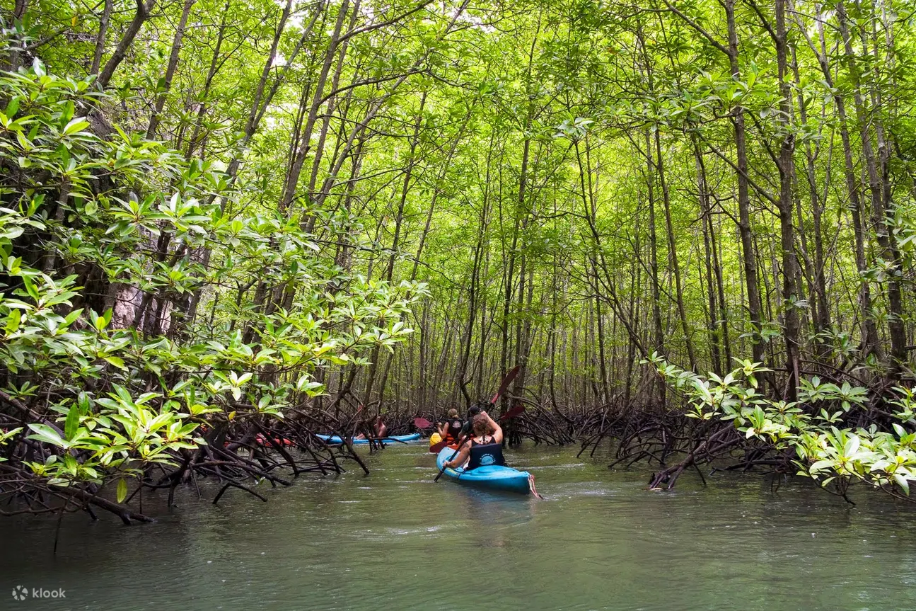 Full-Day Sea Kayaking Adventure in Ao Thalane Bay from Krabi